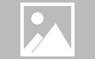 梅河口制作网站发布信息（网站如何发布信息）